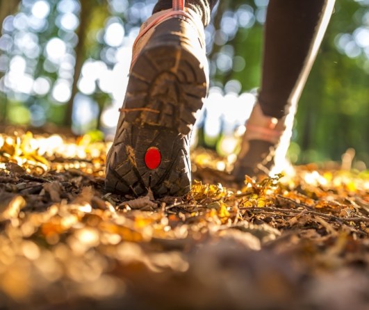 Debeljaca Trim Trail - mini calorie loss challenge